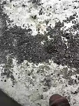 jellydicks live sex cam