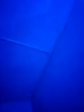 Fran-The-Smooth-One live sex cam