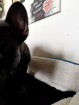 Sexeislife666 live sex cam