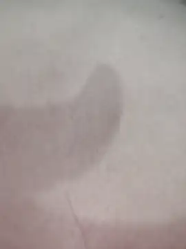 Noorkhatoon live sex cam