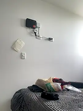 RedFox_Golden's web cam