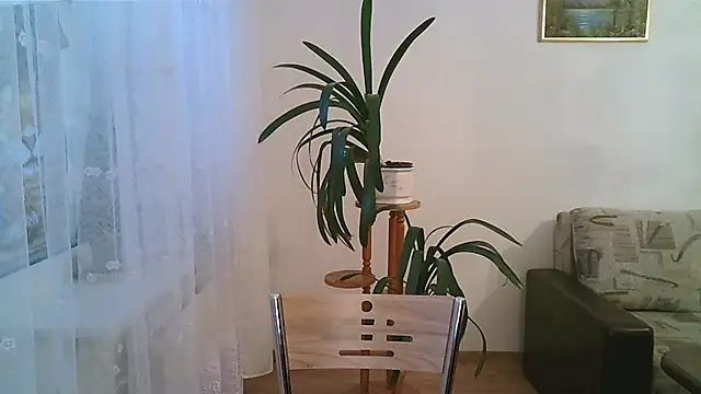 Dartanjanas13's cam snapshot