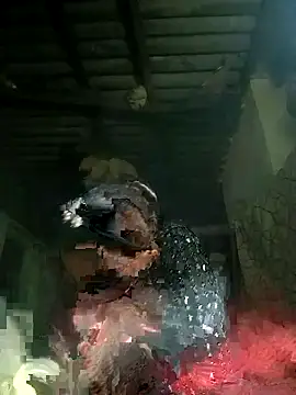 Babita_Gori's cam snapshot