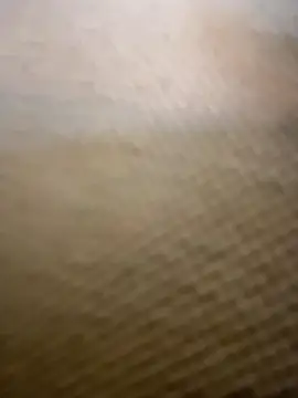 Talia_Bonet live sex cam