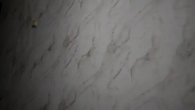 TianaMeiser's cam snapshot