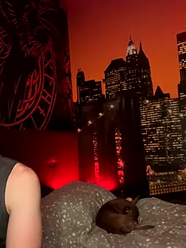 WhiteCore's cam snapshot