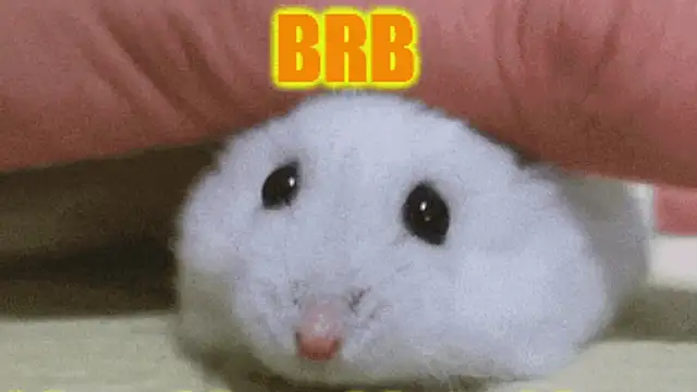 loveiiisens's cam snapshot