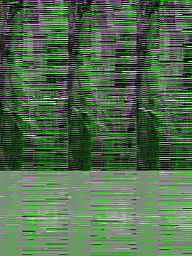 Jankisinghji's cam snapshot