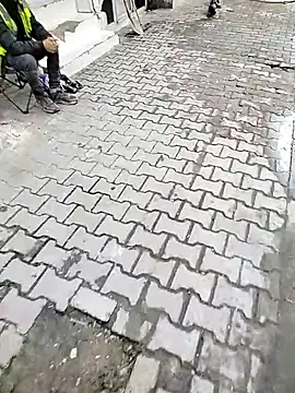 hazarcannn's cam snapshot