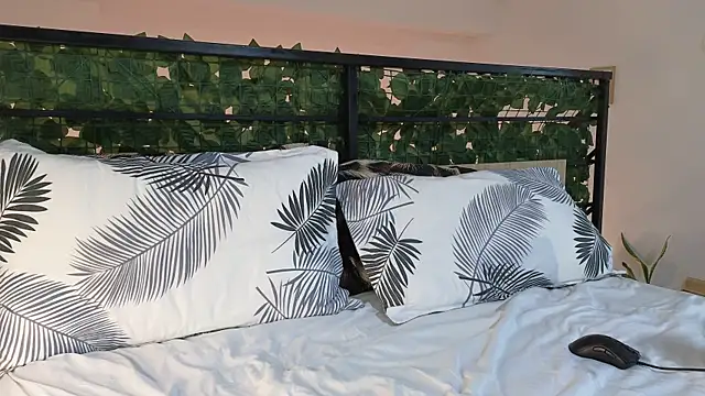 RyanStorm_ live sex cam