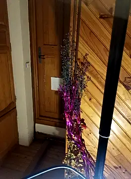 mylissandre's cam snapshot