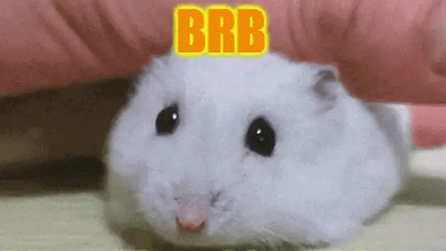 loveiiisens's cam snapshot