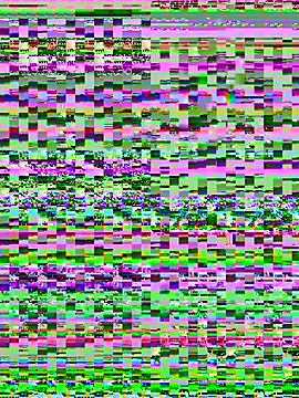 CasadoLutadorBigStuds's cam snapshot