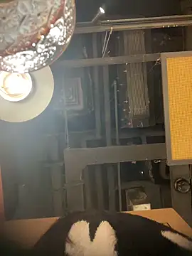 tiantiandao live sex cam