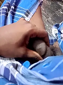 dolphiinn's cam snapshot