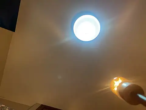 NikkelSofia live sex cam