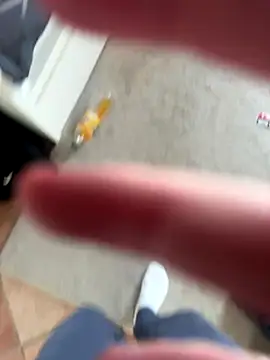 Marlito_77 live sex cam