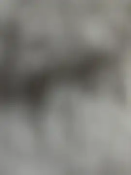 Spring-spring's cam snapshot