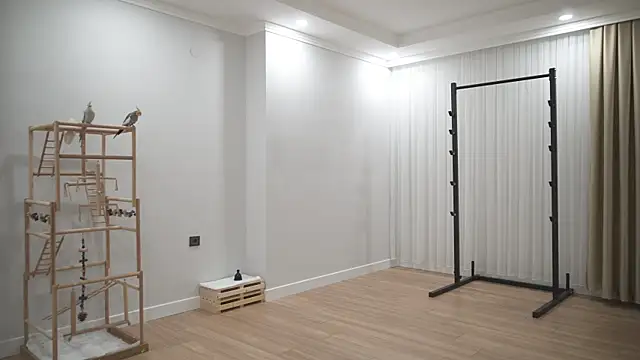 tommyjoyer's cam snapshot