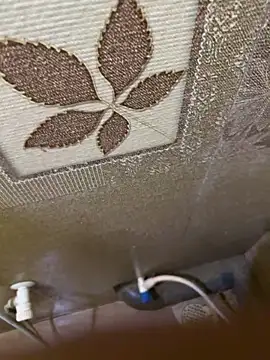 ApexO45's cam snapshot