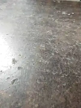 Roy___121's cam snapshot