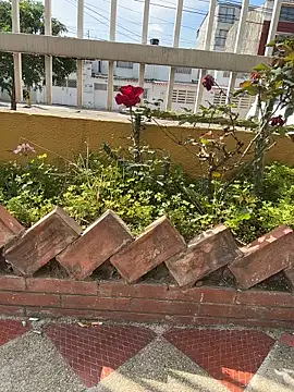 Samantha_firee live sex cam