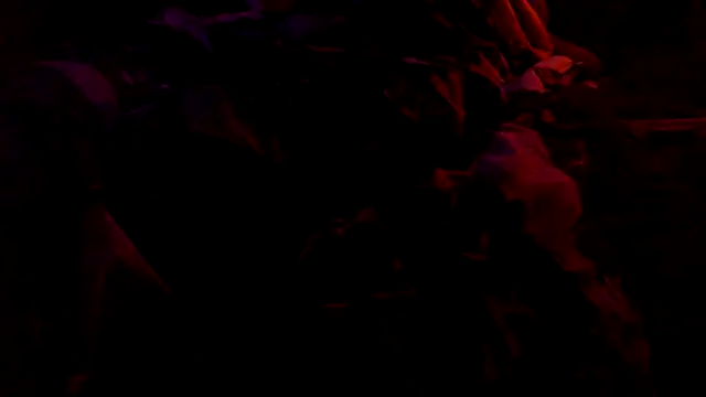 Mic_Oxinner live sex cam