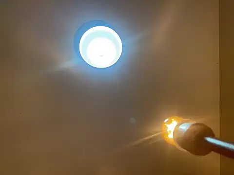 NikkelSofia live sex cam