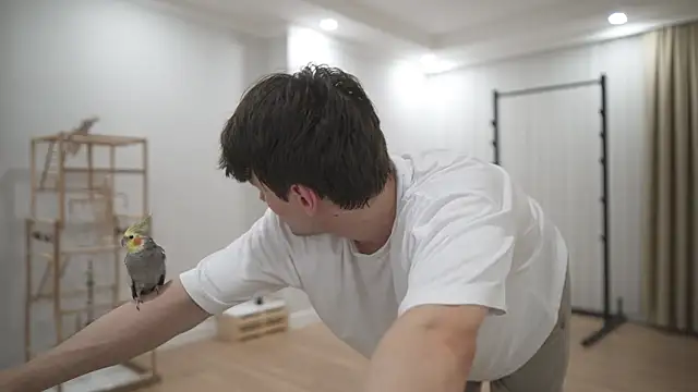 tommyjoyer live sex cam