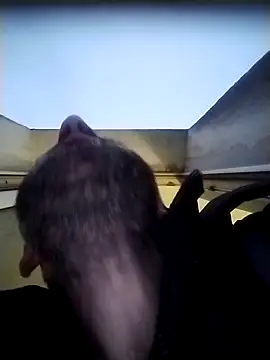 Andrzej-M's cam snapshot