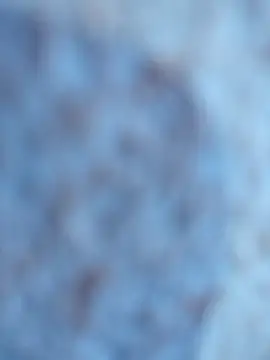 Tayanehot's cam snapshot