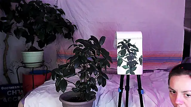 Personal_Bulldozer's cam snapshot