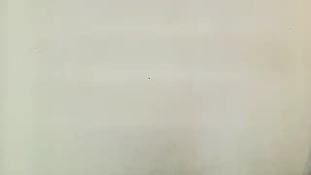 NOHA_CRAYG live sex cam