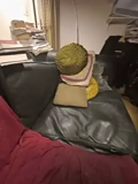 briochin's cam snapshot