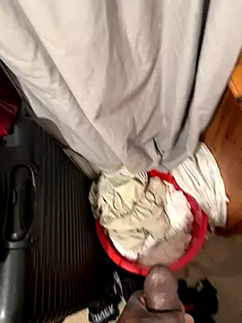 8inch_pauljames's web cam