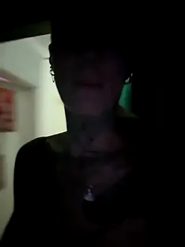 Stella-Kink's cam snapshot