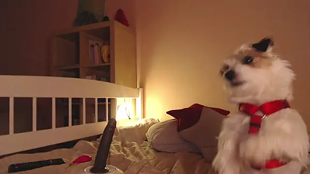 pink_panties's cam snapshot