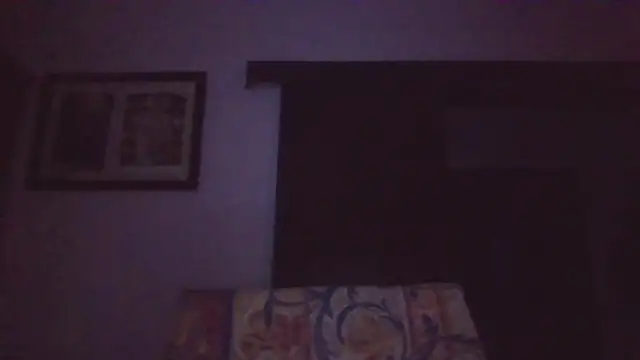 llopaco's cam snapshot