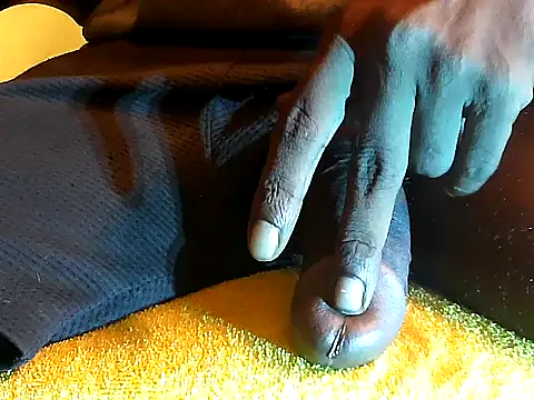 localboybbsr live sex cam