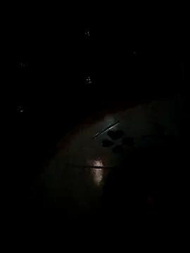 Dickdelhi's cam snapshot