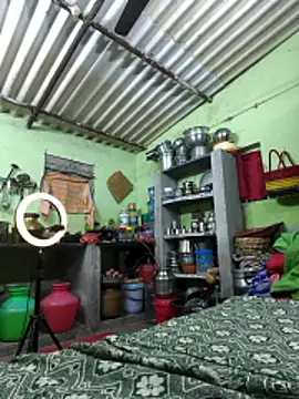 Tamilselviroja- live sex cam