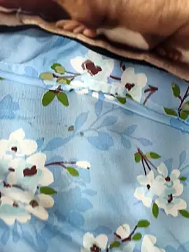 paro22_sex's cam snapshot