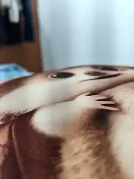 paro22_sex's cam snapshot