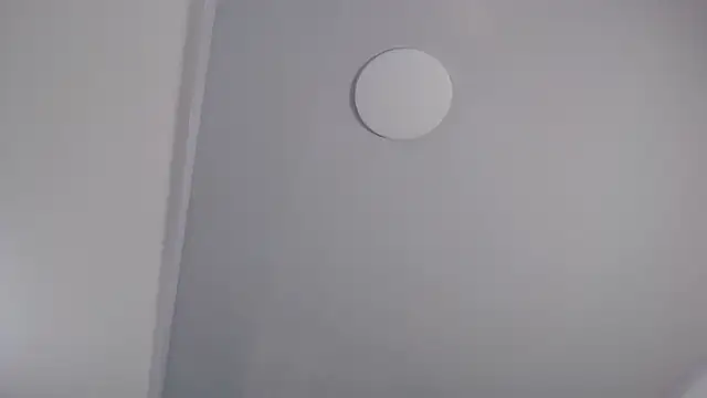 Cherrysmalll's cam snapshot