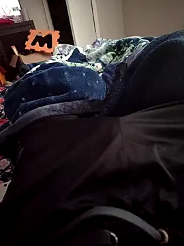 ellovol's cam snapshot