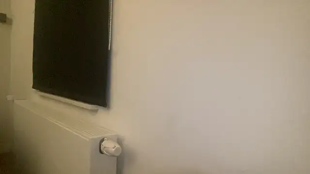 peterpapiNL's cam snapshot