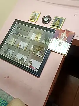 nareshrddd5's cam snapshot