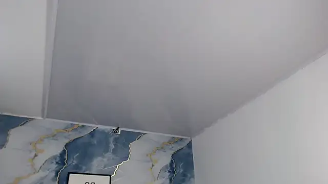 Cherrysmalll's cam snapshot