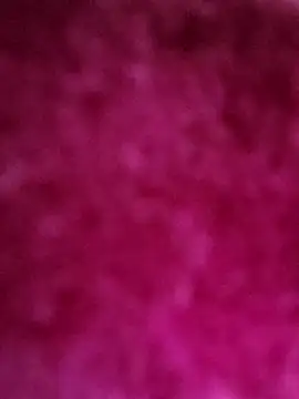 Aidakhan1212's cam snapshot