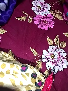 deshi_bhabi_Anita's cam snapshot